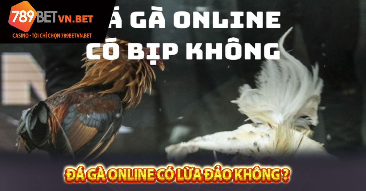 Đá Gà Online Có Lừa Đảo Không ?