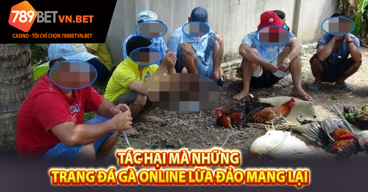 Tác hại mà những trang đá gà online lừa đảo mang lại